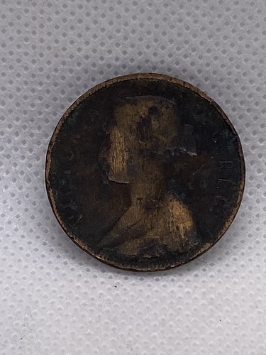 1880 terra nuova ritrovata - nuova,